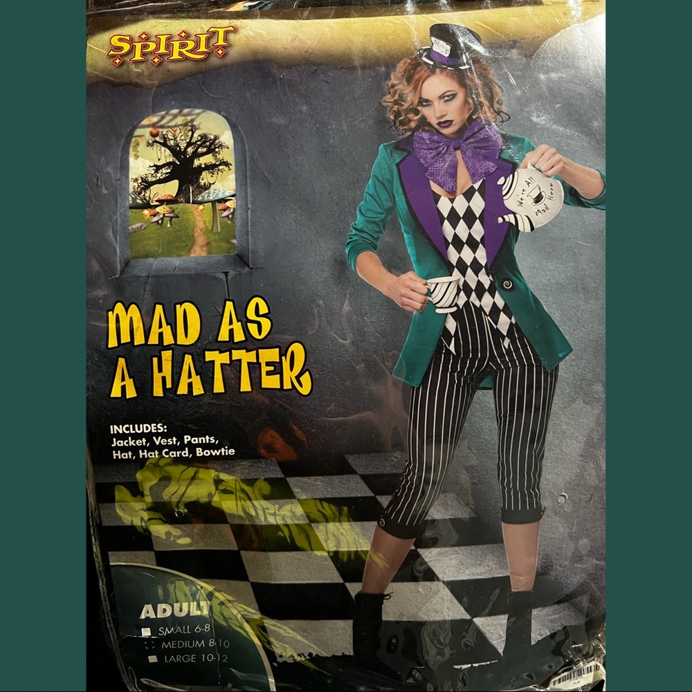 Mad as a hatter adult costume (like new)